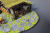 12.png